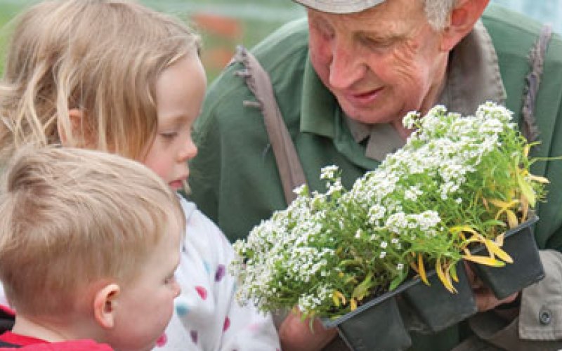 Gardener showing flowers to 2 children